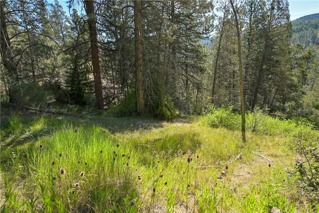 1 Duzel Creek Road Property Photo 9