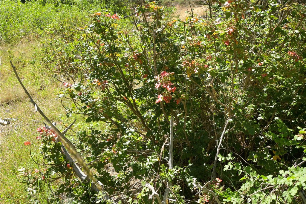 1 Duzel Creek Road Property Photo 10