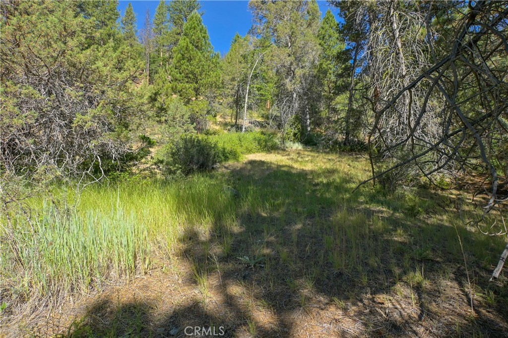 1 Duzel Creek Road Property Photo 11