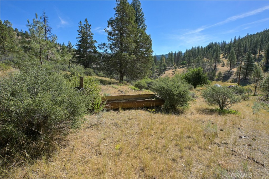1 Duzel Creek Road Property Photo 13