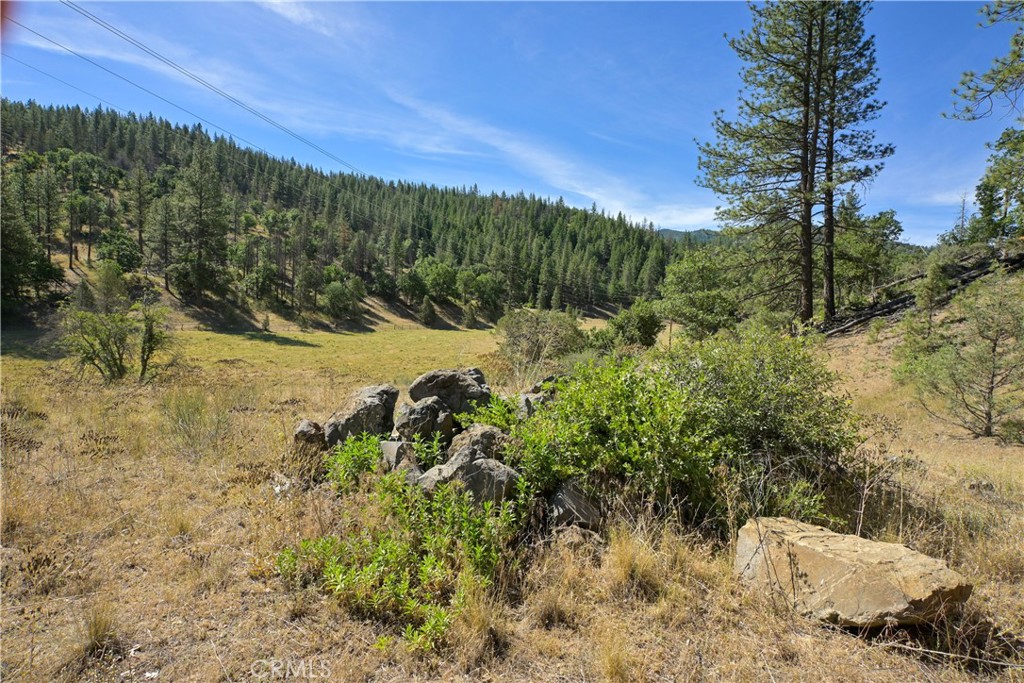 1 Duzel Creek Road Property Photo 16