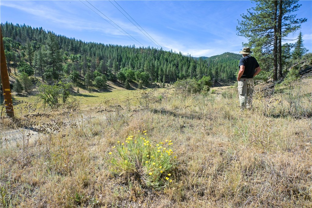 1 Duzel Creek Road Property Photo 17