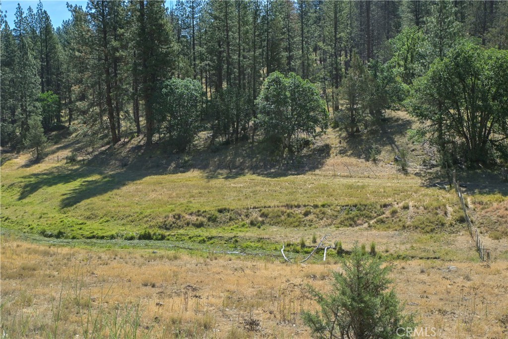 1 Duzel Creek Road Property Photo 18