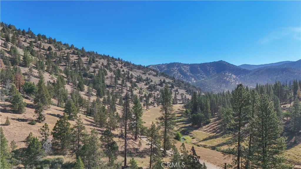 1 Duzel Creek Road Property Photo 19