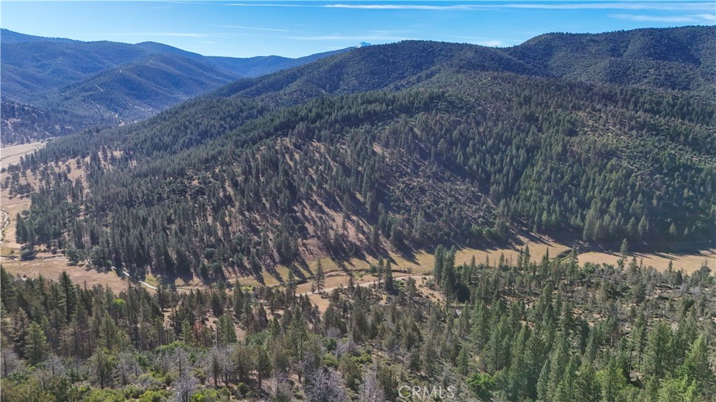1 Duzel Creek Road Property Photo 20