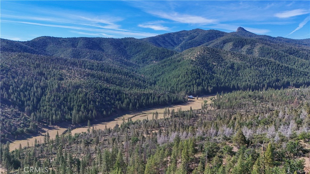1 Duzel Creek Road Property Photo 21