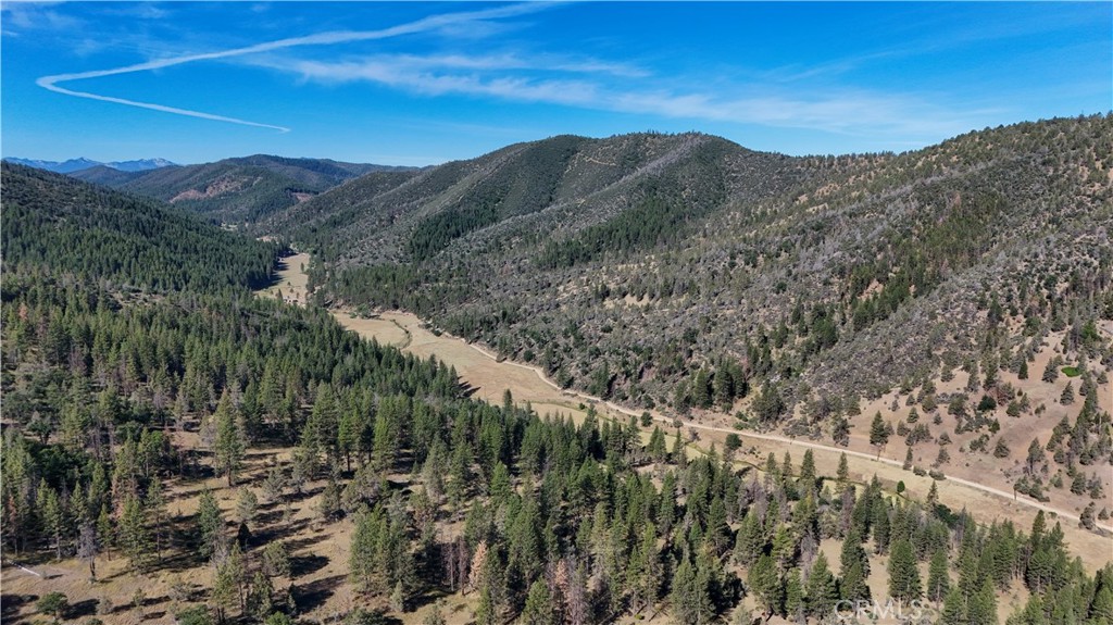1 Duzel Creek Road Property Photo 23