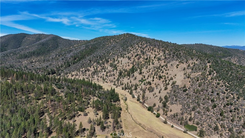1 Duzel Creek Road Property Photo 29