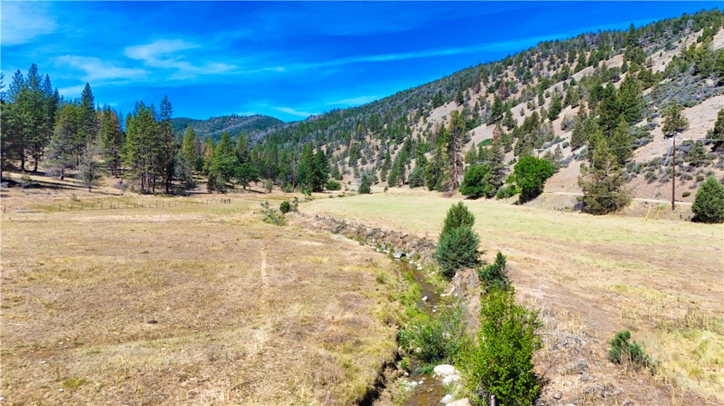 1 Duzel Creek Road Property Photo 35