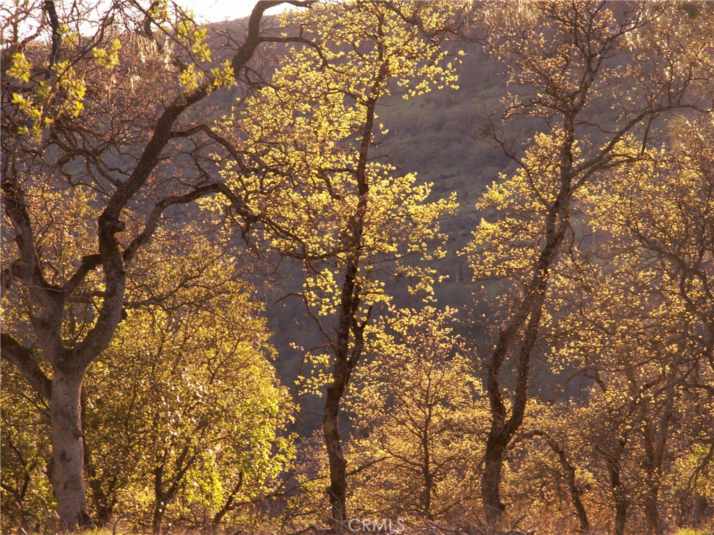 1985 Flatiron Property Photo 61