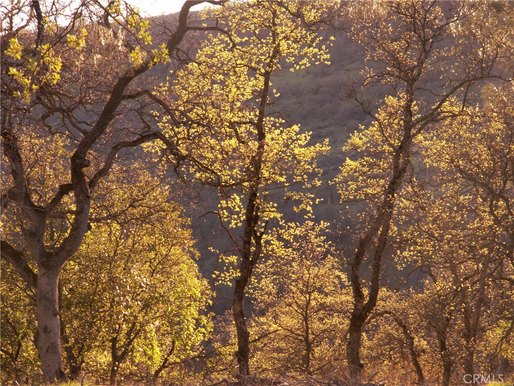 1985 Flatiron Property Photo 61