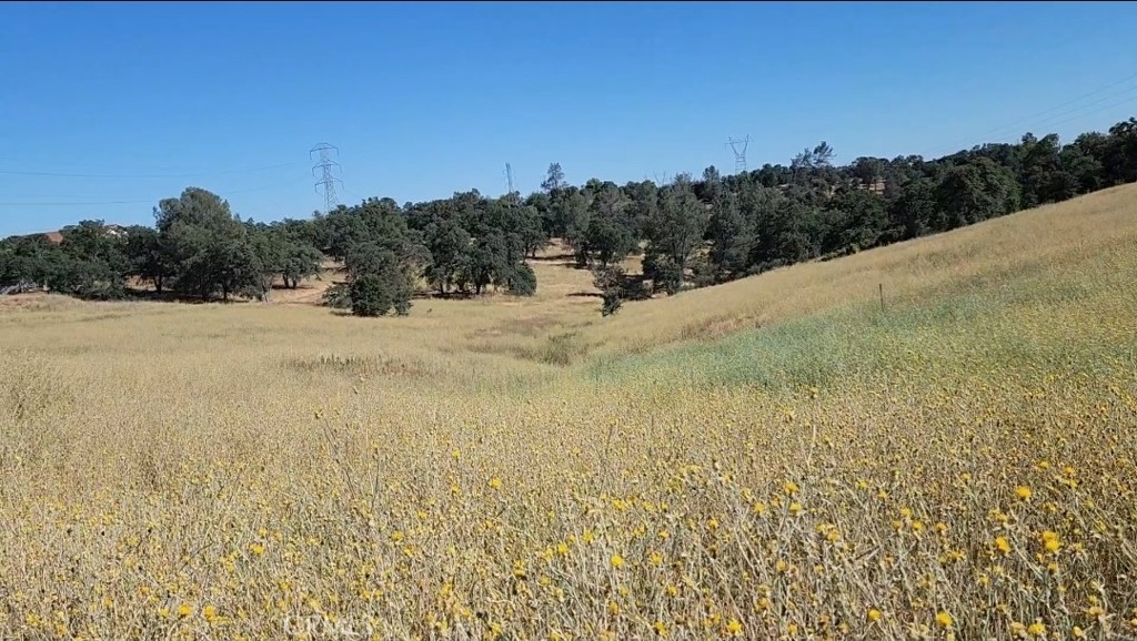 0 Foothill Boulevard Property Photo 19