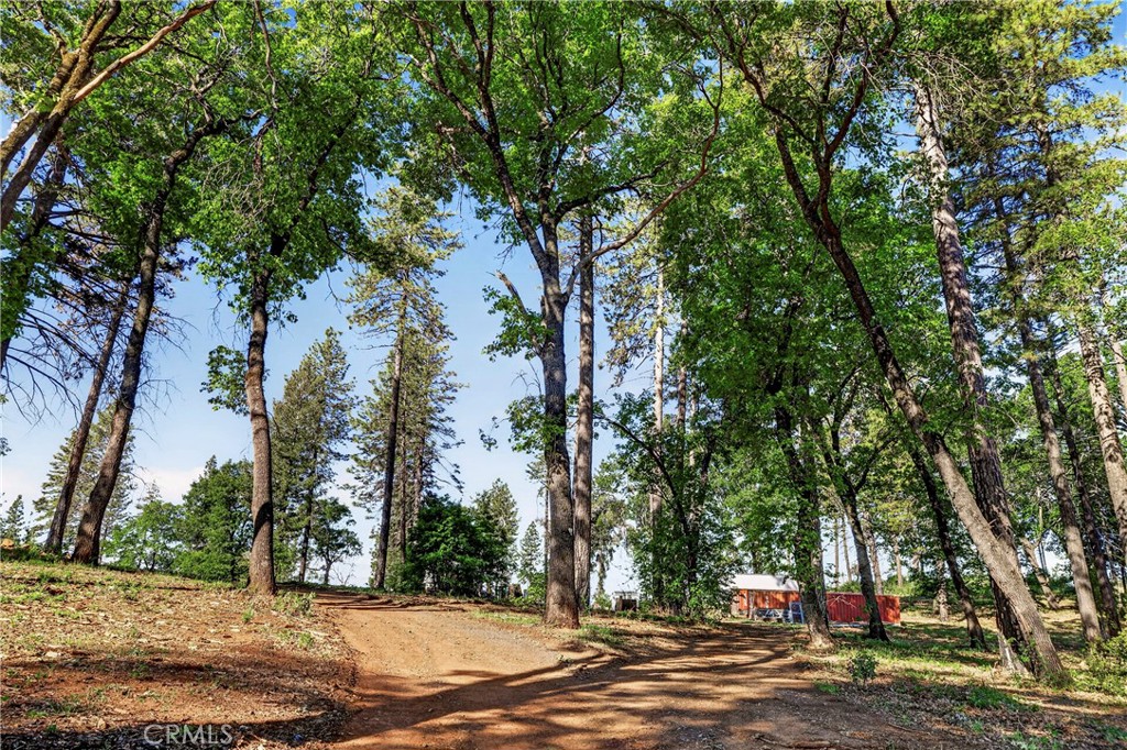 12471 Granite Ridge Property Photo 4