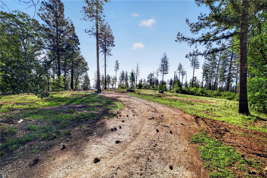 12471 Granite Ridge Property Photo 5