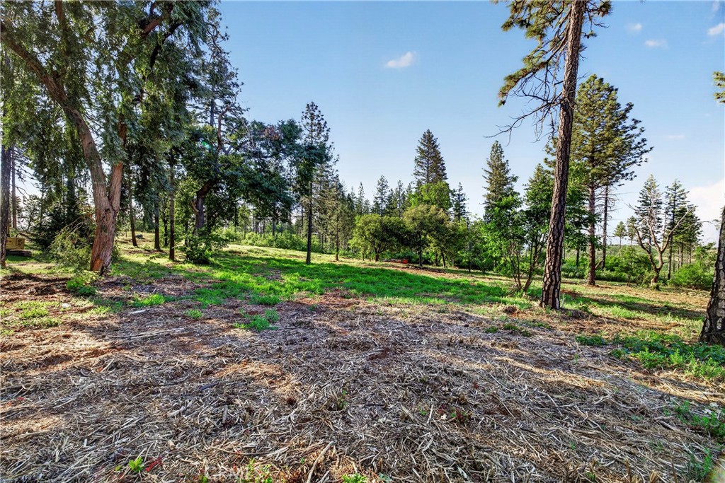 12471 Granite Ridge Property Photo 6