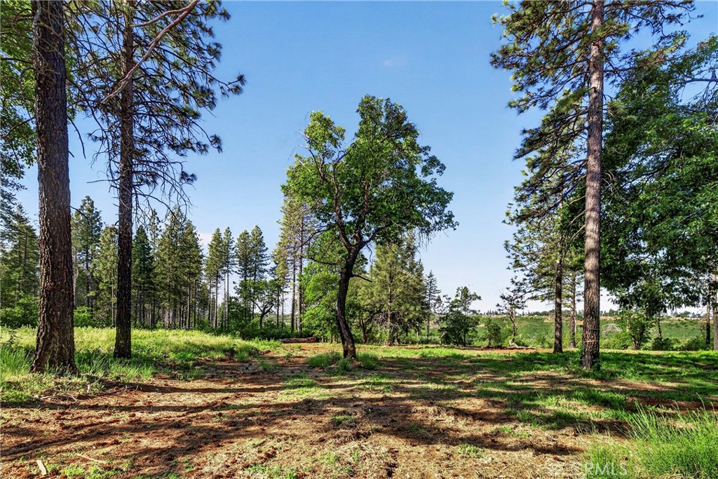 12471 Granite Ridge Property Photo 7