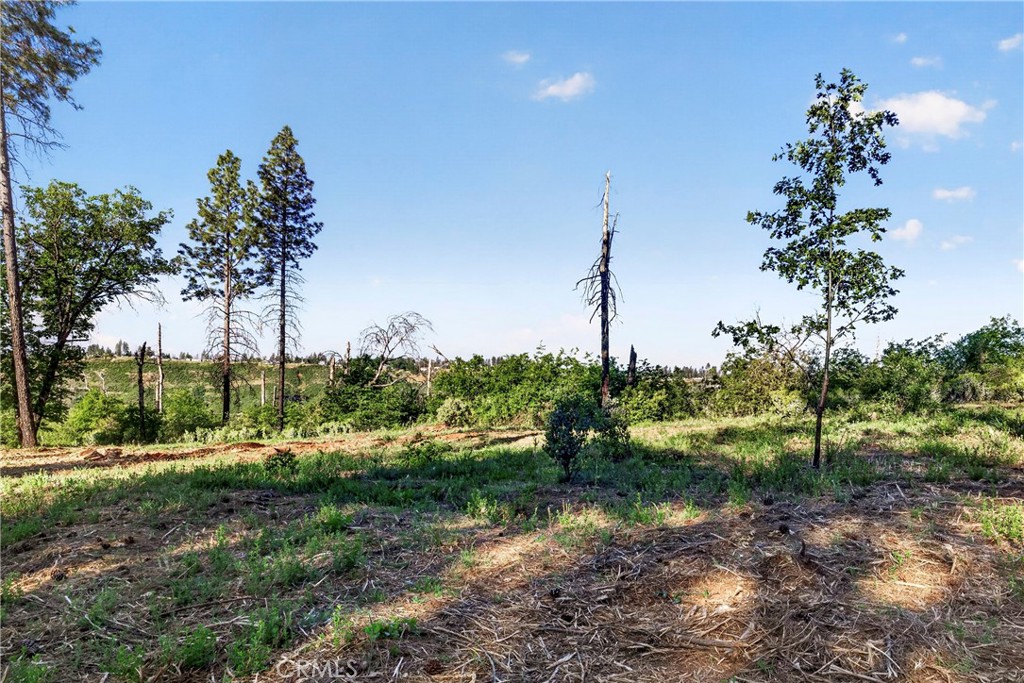 12471 Granite Ridge Property Photo 15