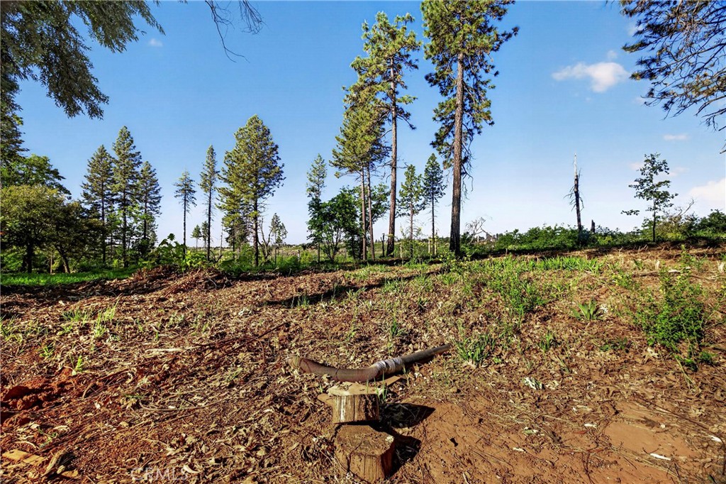12471 Granite Ridge Property Photo 18