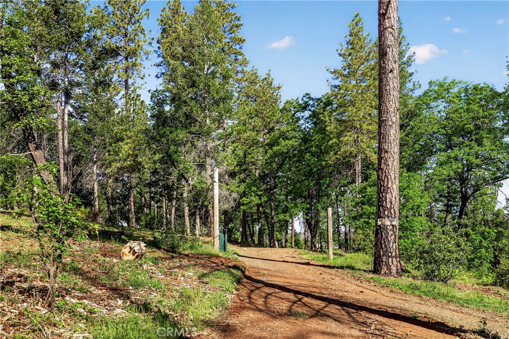 12471 Granite Ridge Property Photo 21