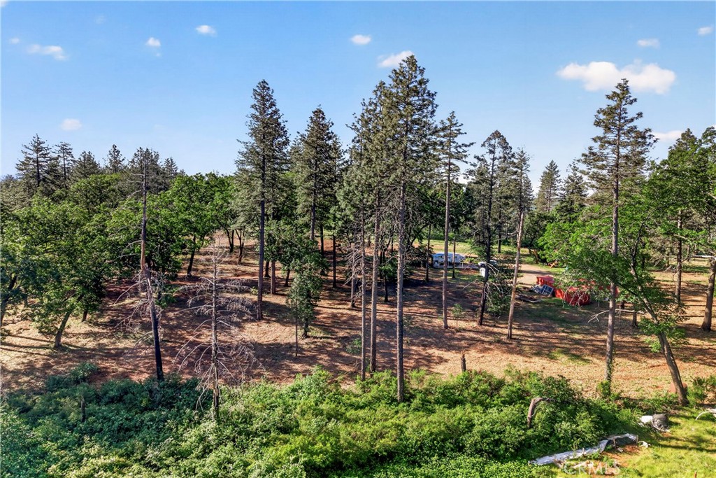 12471 Granite Ridge Property Photo 28