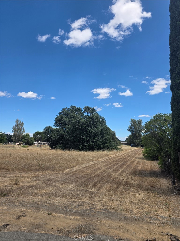 7530 Leisure Landing Property Photo 2