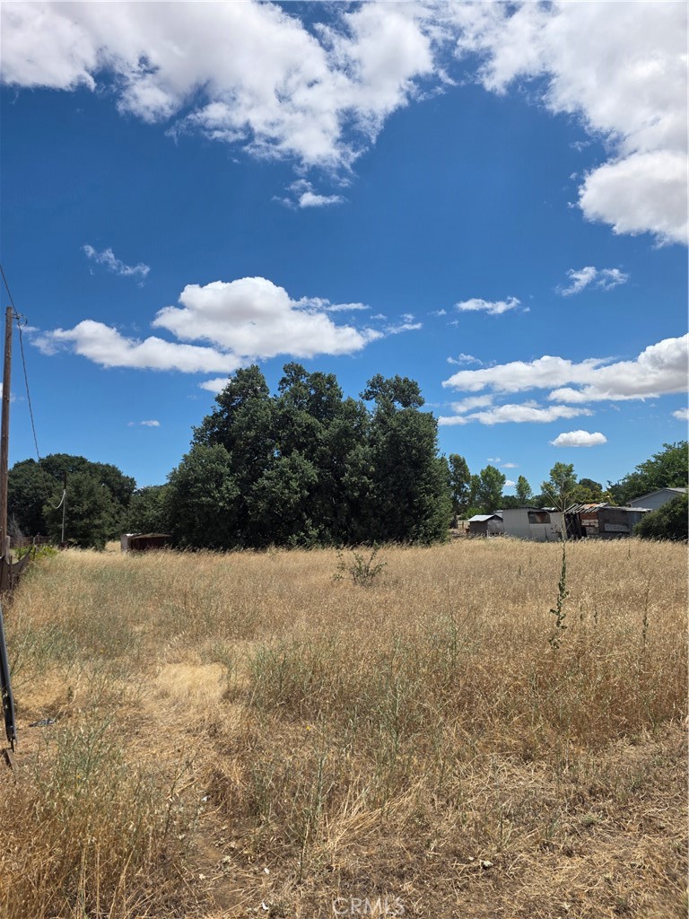 7530 Leisure Landing Property Photo 3