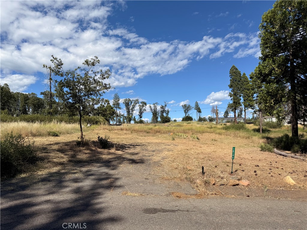 14160 Citadel Way Property Photo 1