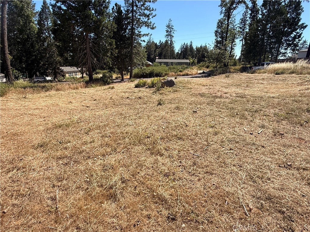 14160 Citadel Way Property Photo 3