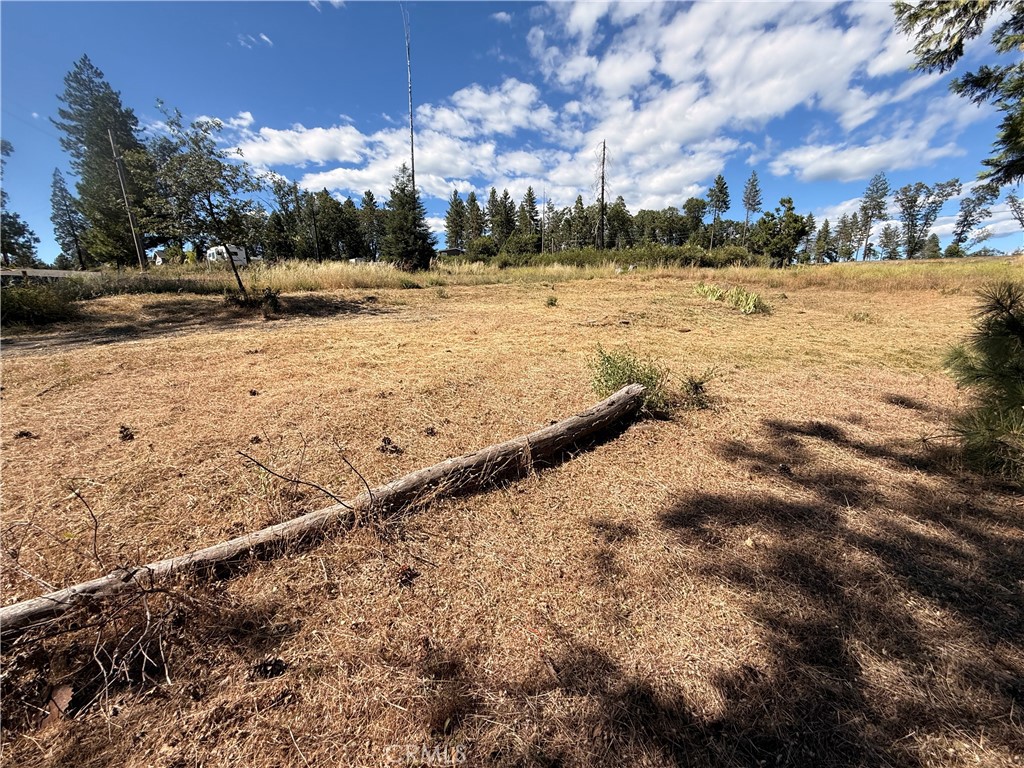 14160 Citadel Way Property Photo 4
