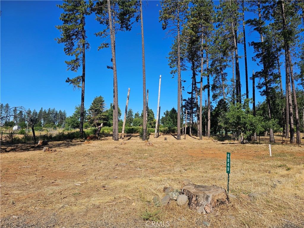 6849 Clark Rd Road Property Photo 1
