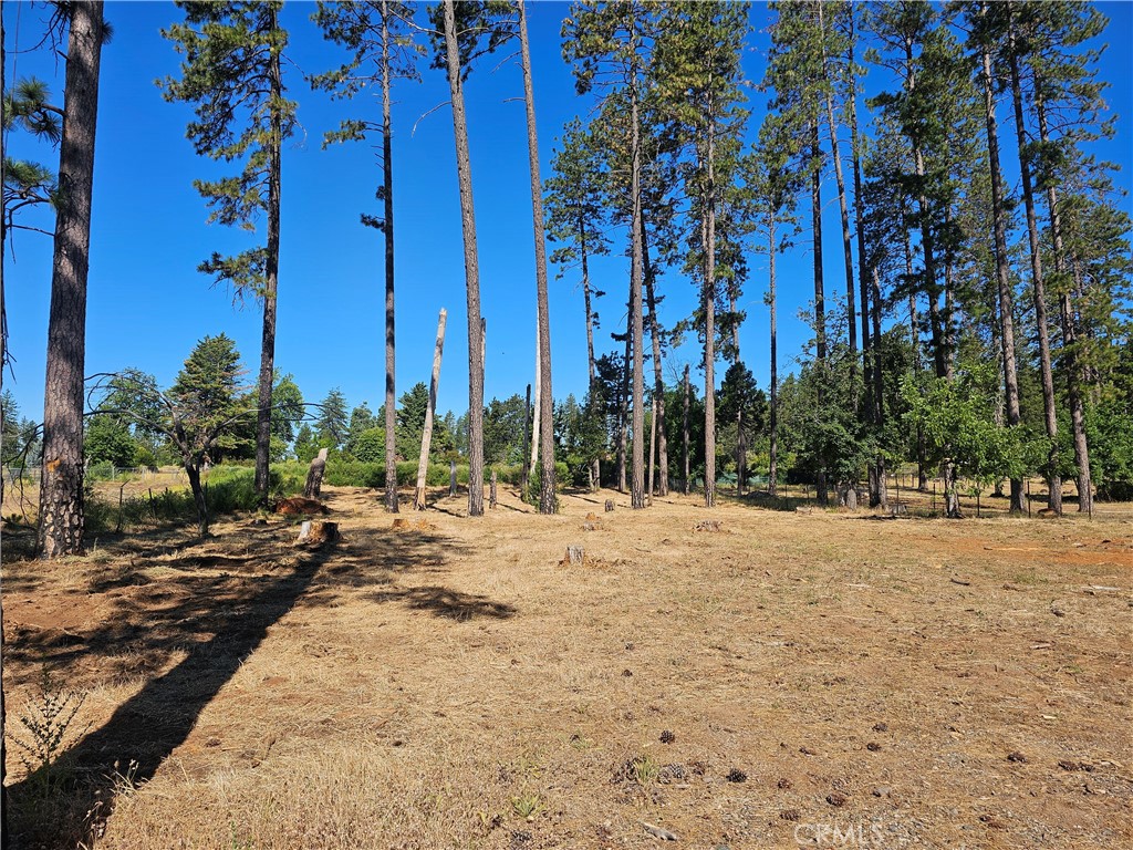 6849 Clark Rd Road Property Photo 2