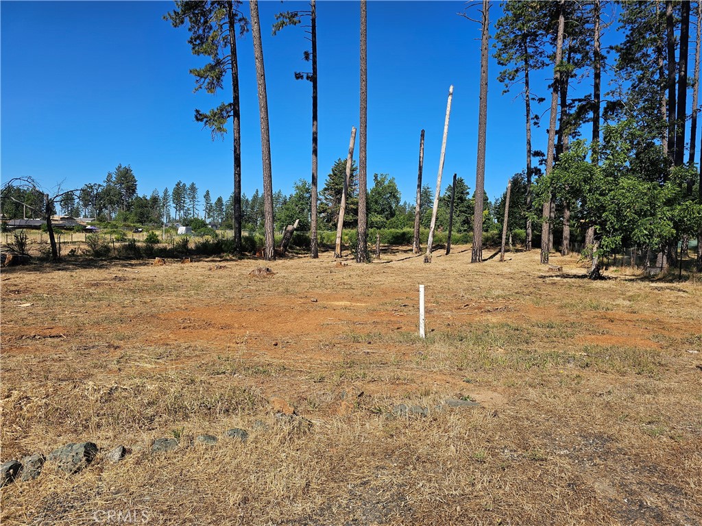 6849 Clark Rd Road Property Photo 3