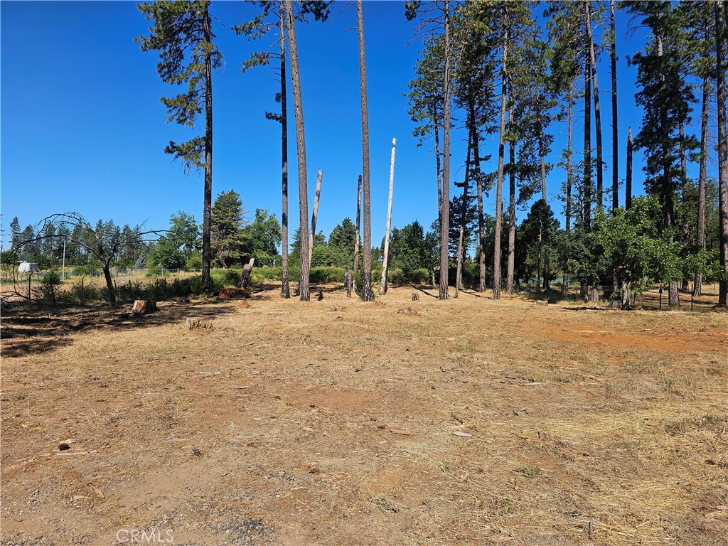 6849 Clark Rd Road Property Photo 4