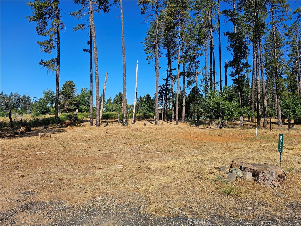 6849 Clark Rd Road Property Photo 5