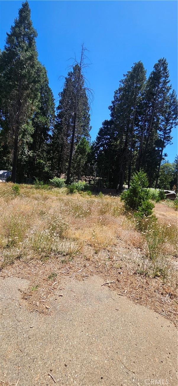 14214 Wingate Property Photo 3