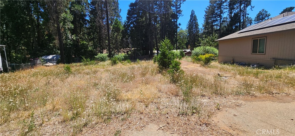 14214 Wingate Property Photo 4