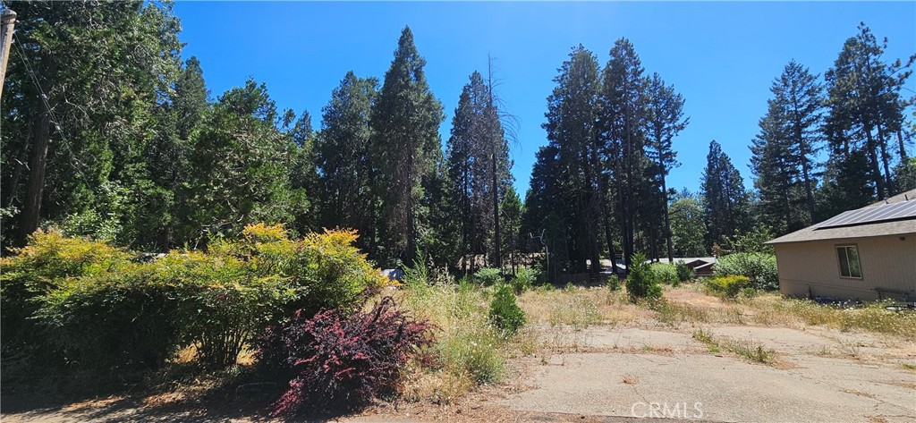 14214 Wingate Property Photo 5