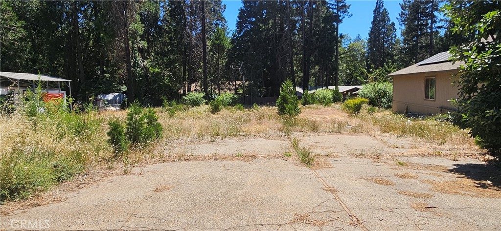 14214 Wingate Property Photo 6
