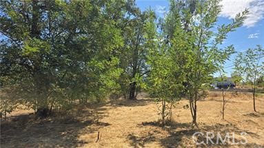 810 Roe Property Photo 5