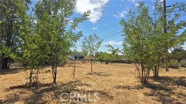 810 Roe Property Photo 6