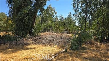 810 Roe Property Photo 7