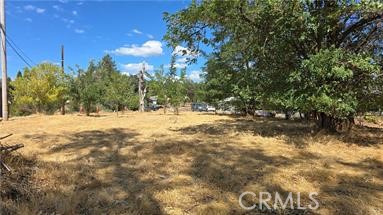 810 Roe Property Photo 9