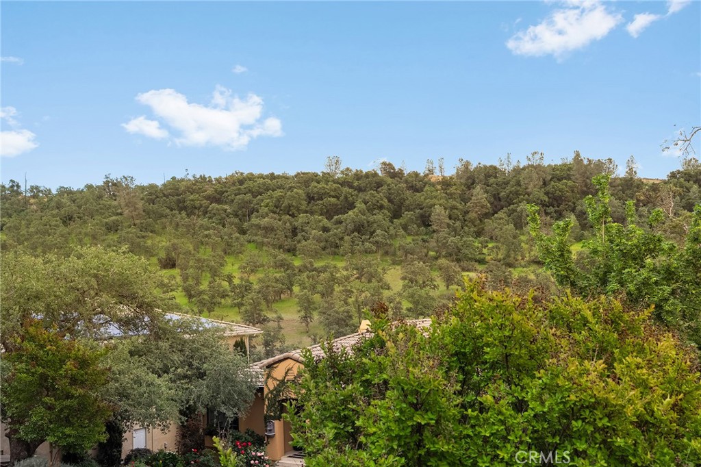 3560 Shadowtree Property Photo 51