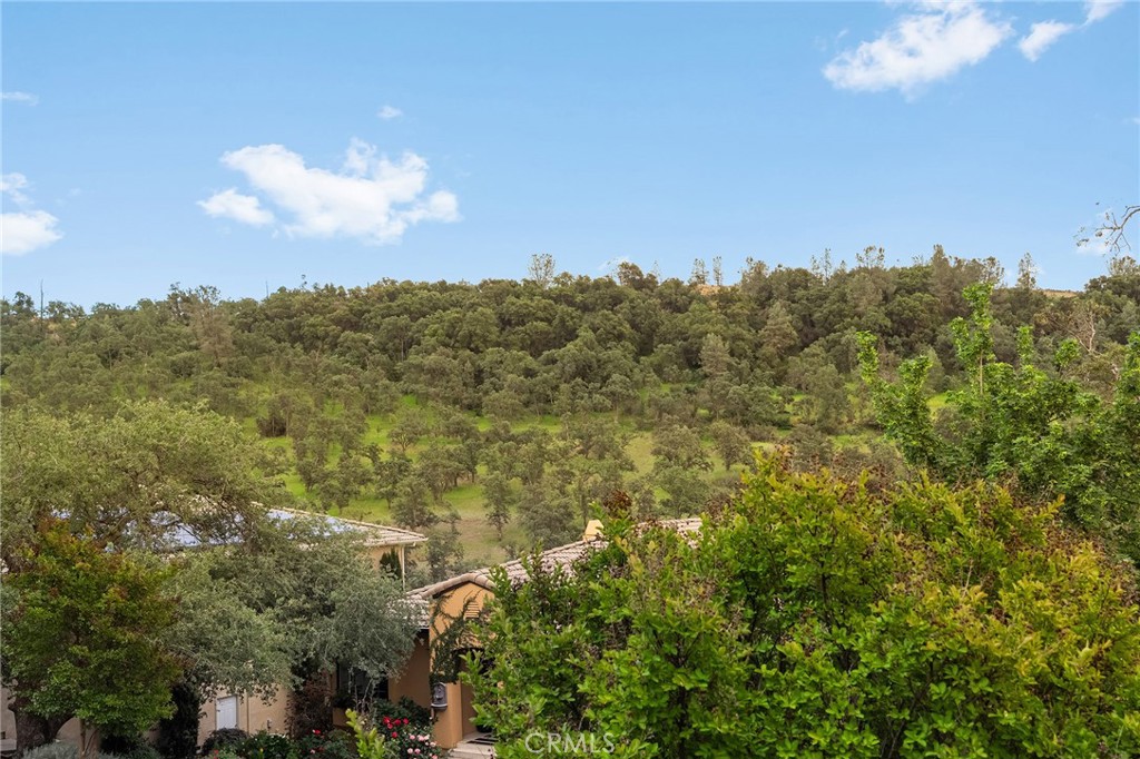 3560 Shadowtree Property Photo 51