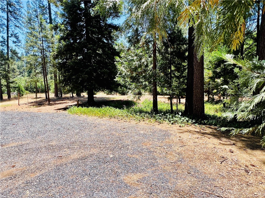 15793 Coutolenc Property Photo 32