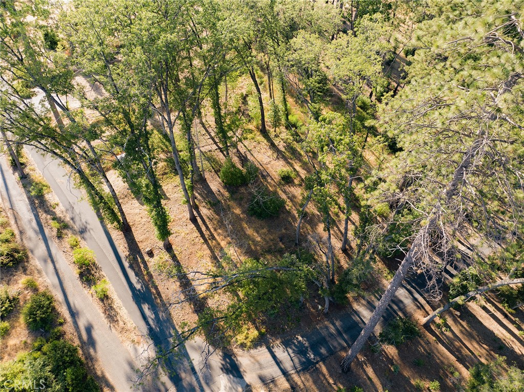 1837 Clear Brook Lane Property Photo 1