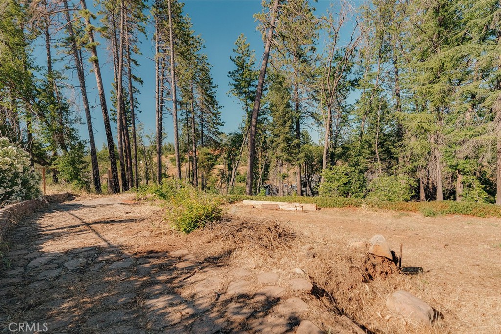 1837 Clear Brook Lane Property Photo 4