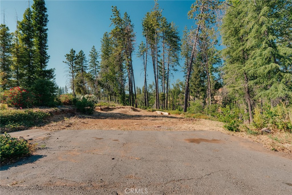 1837 Clear Brook Lane Property Photo 8