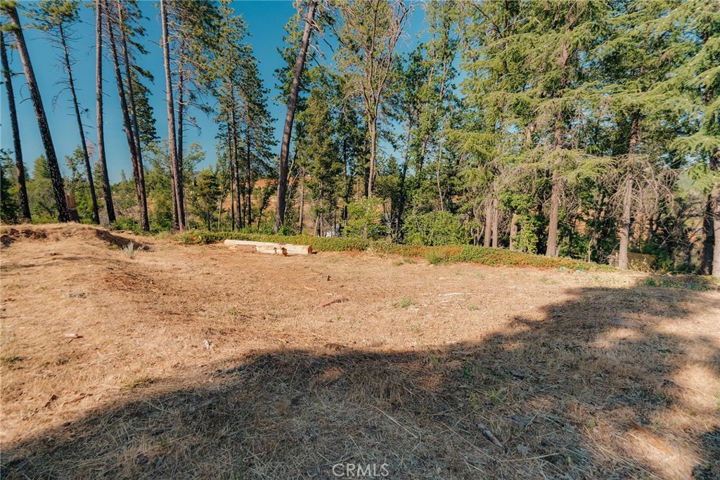 1837 Clear Brook Lane Property Photo 10