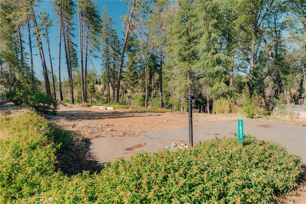 1837 Clear Brook Lane Property Photo 16